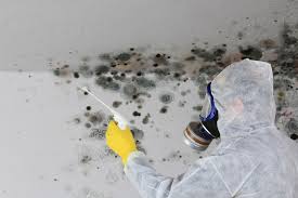 Trusted Packanack Lake, NJ Mold Remediation Experts